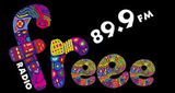 Logo Freee 89.9 FM