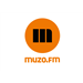 Logo Radio Pin
